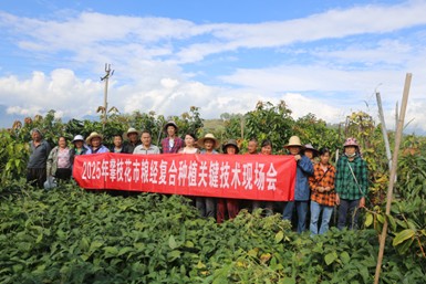 1760018092319059185.jpg 图片68.jpg