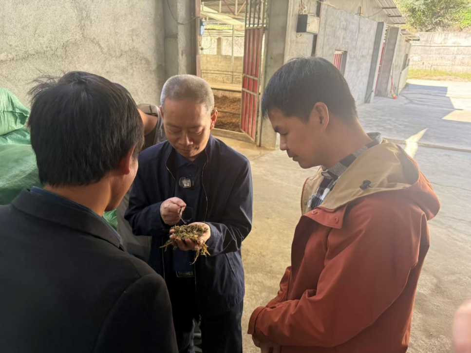 1761116650695076709.png 111.png