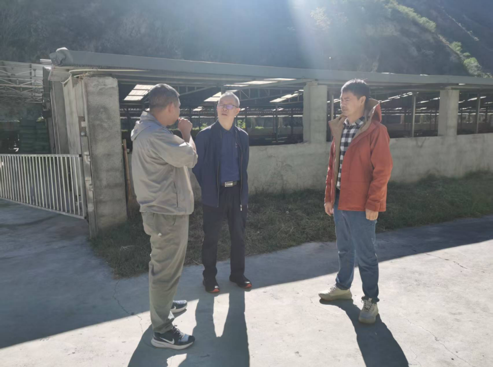 1761116655685043172.png 222.png