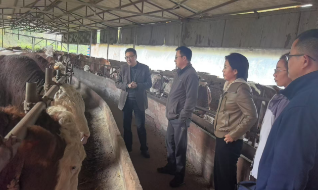 1764227399927042719.png 222.png