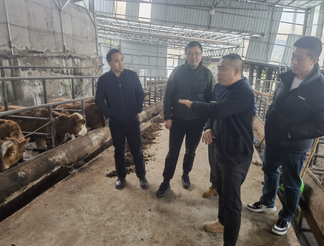 1764227405818026835.png 333.png