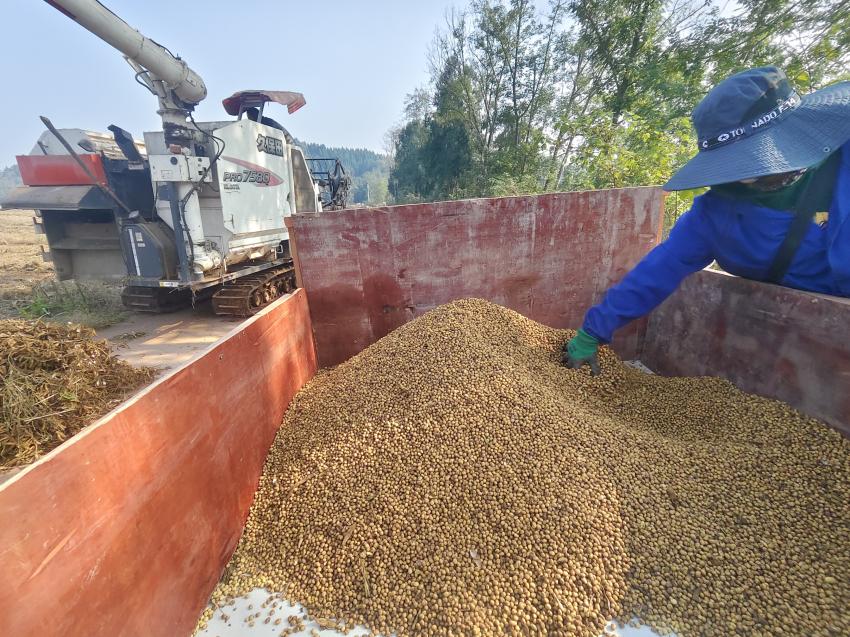 1764321260224086817.jpg 图片2.jpg