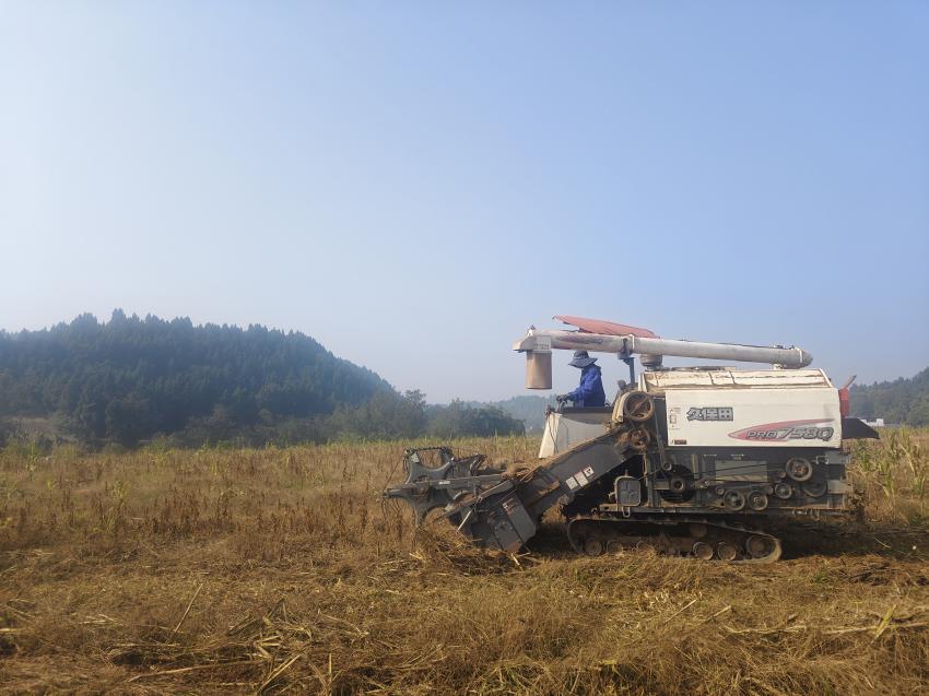 1764321271927021908.jpg 图片1.jpg