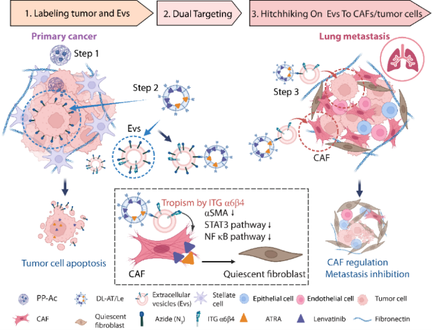 1764327953039092490.png 1.png