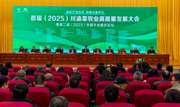 1765164523995076207.png 111.png