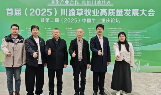 1765164529400070554.png 222.png