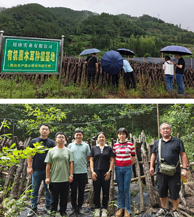 1766389601182060668.jpg 1766389601182060668.jpg