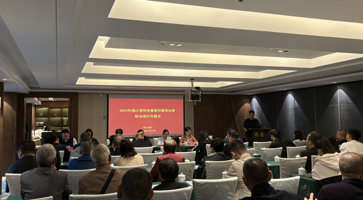 1766391066747027774.jpg 1766391066747027774.jpg