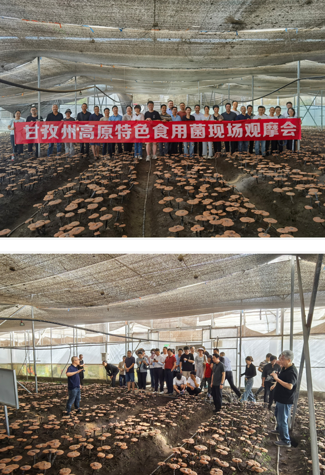 1766391784386060760.jpg 1766391784386060760.jpg