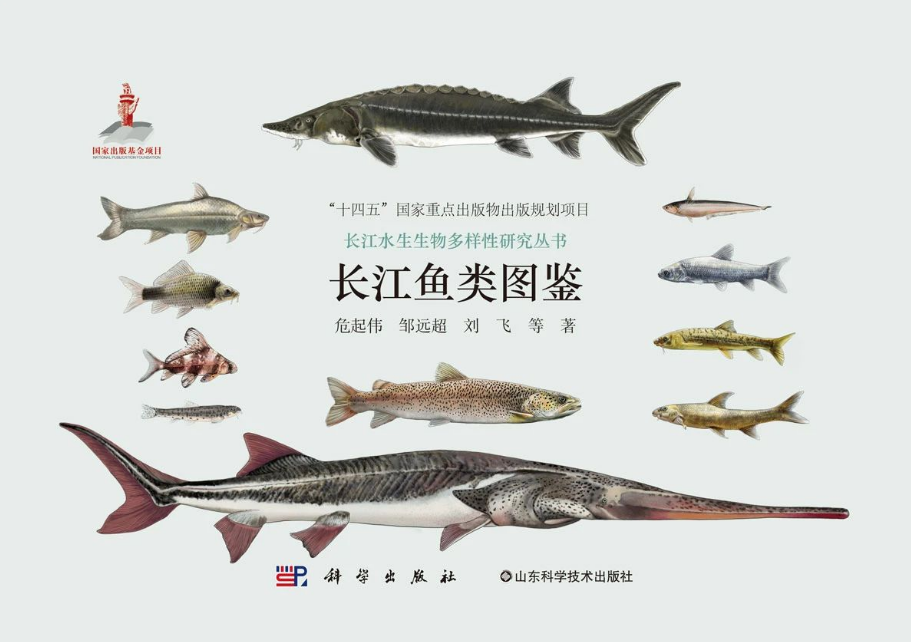 1766742196468064882.png 图鉴.png