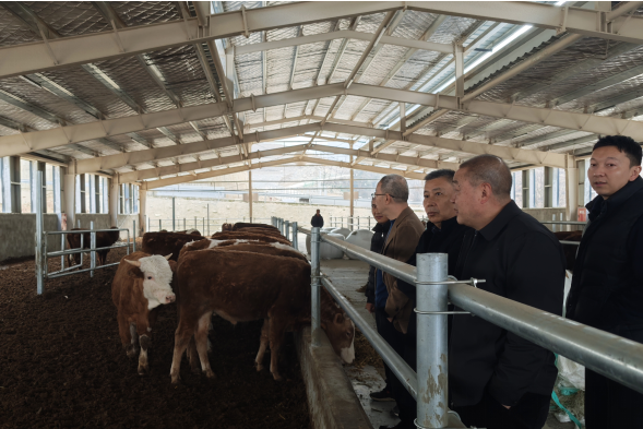 1767167232837021097.png 222.png