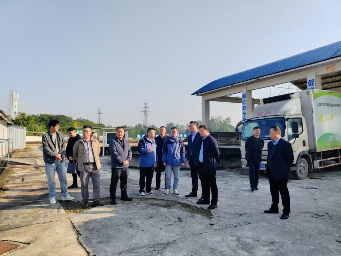 1768392704027087310.jpg 22.jpg