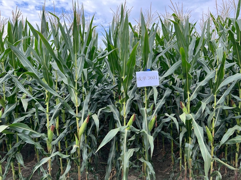 1768810622460077895.jpg 微信图片_20260119161126_47_10.jpg