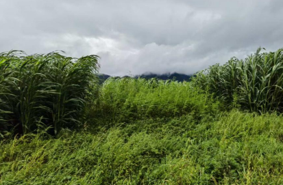 1769507254347087980.png 222.png