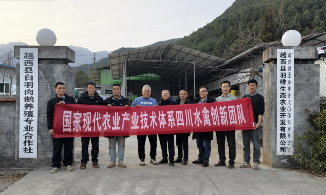 1769953406097007473.png 111.png