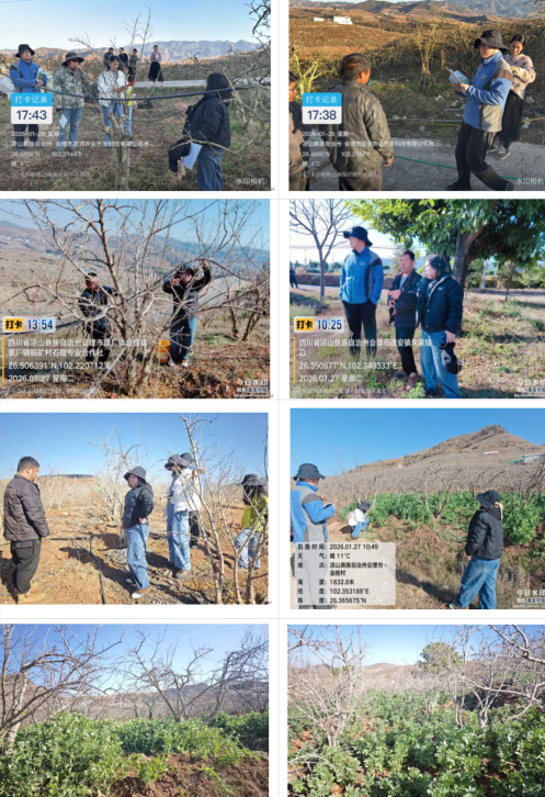 1770084526625074183.png 微信图片_20260203100733_468_23.png