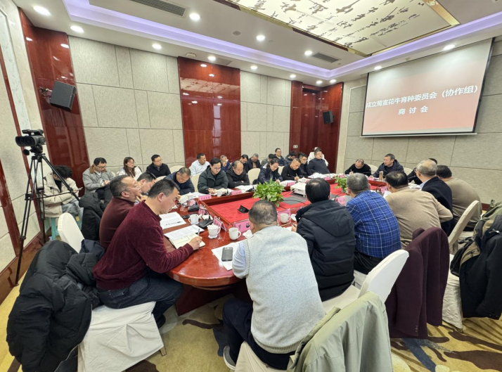 1770354434980001071.png 111.png