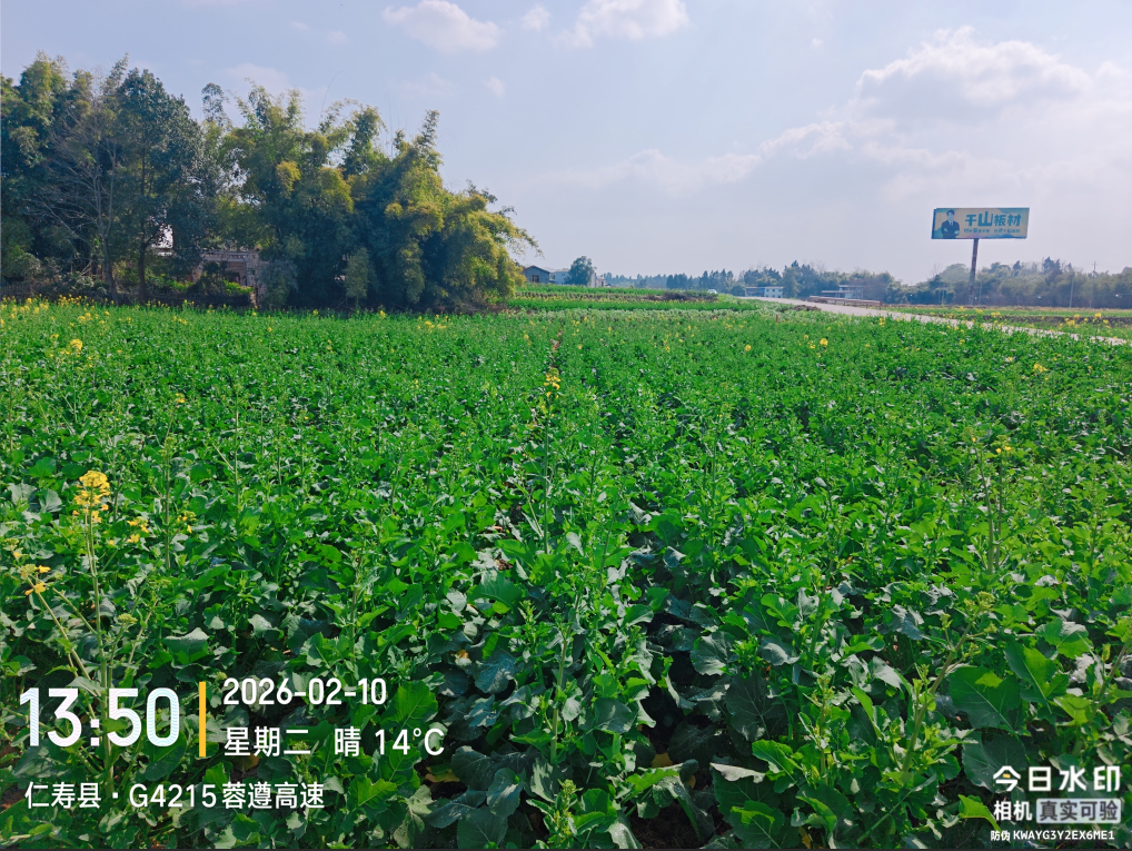 1770724422860017660.png ScreenShot_2026-02-10_195257_705.png