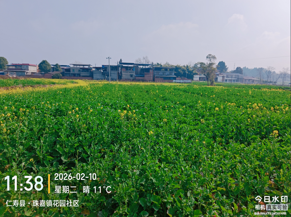 1770724451848069221.png ScreenShot_2026-02-10_195313_749.png