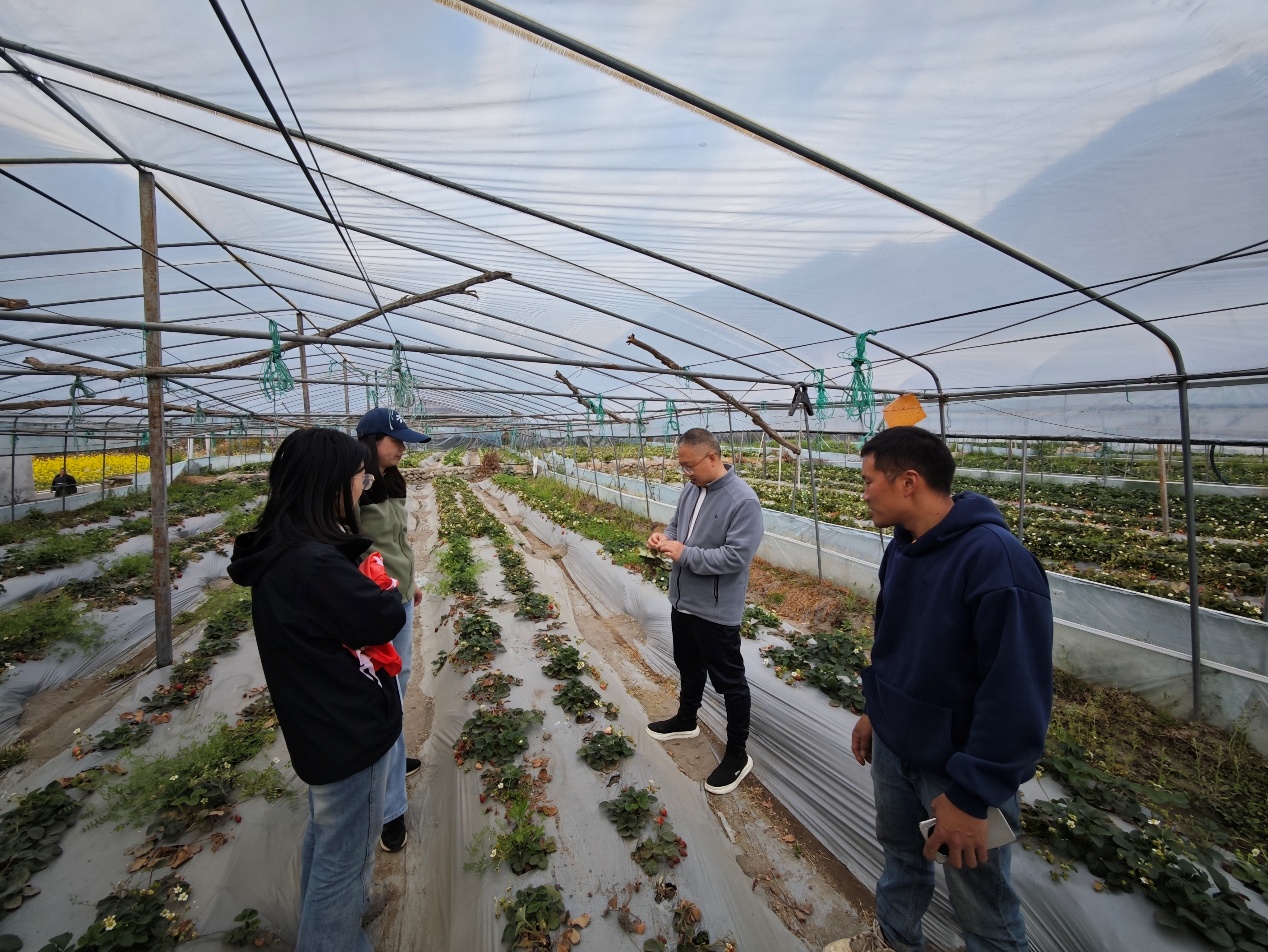 1773016375998045690.jpg 1773016375998045690.jpg