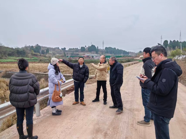 1773669161312063303.jpg 2604.jpg