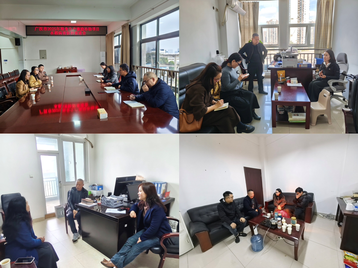 1774232208533079254.png 1774232208533079254.png