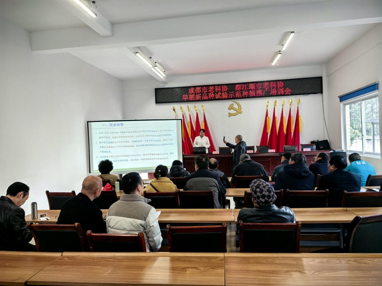 1774232472406029118.png 1774232472406029118.png