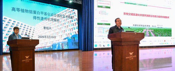 1774265511579095372.png 1111.png