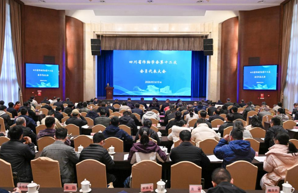 1774265524080078788.png ec1214d8-c9f2-487a-ae2b-b522c0467e1b.png