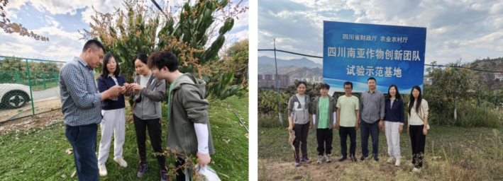 1774492558235053845.png e52b7bdc-a02c-4377-91aa-44dff69f778d.png