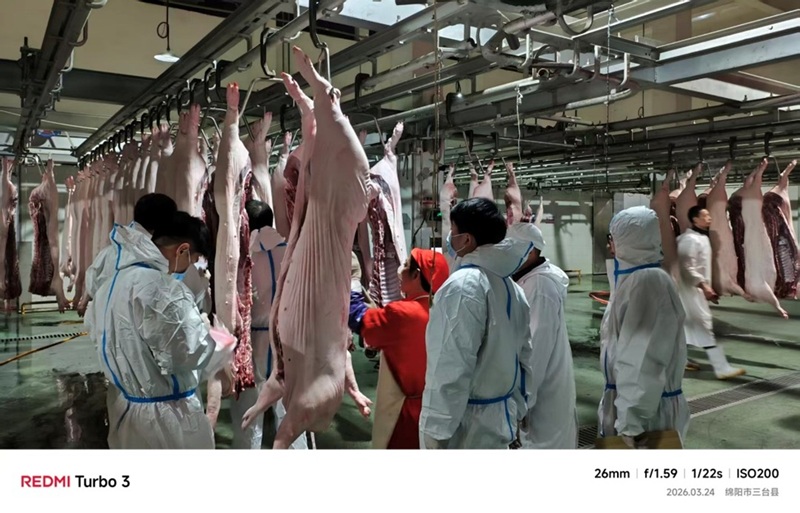 1774495652650051240.jpg 图片1.jpg