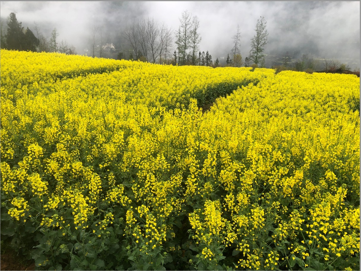 1774600391640034035.jpg 1774600391640034035.jpg