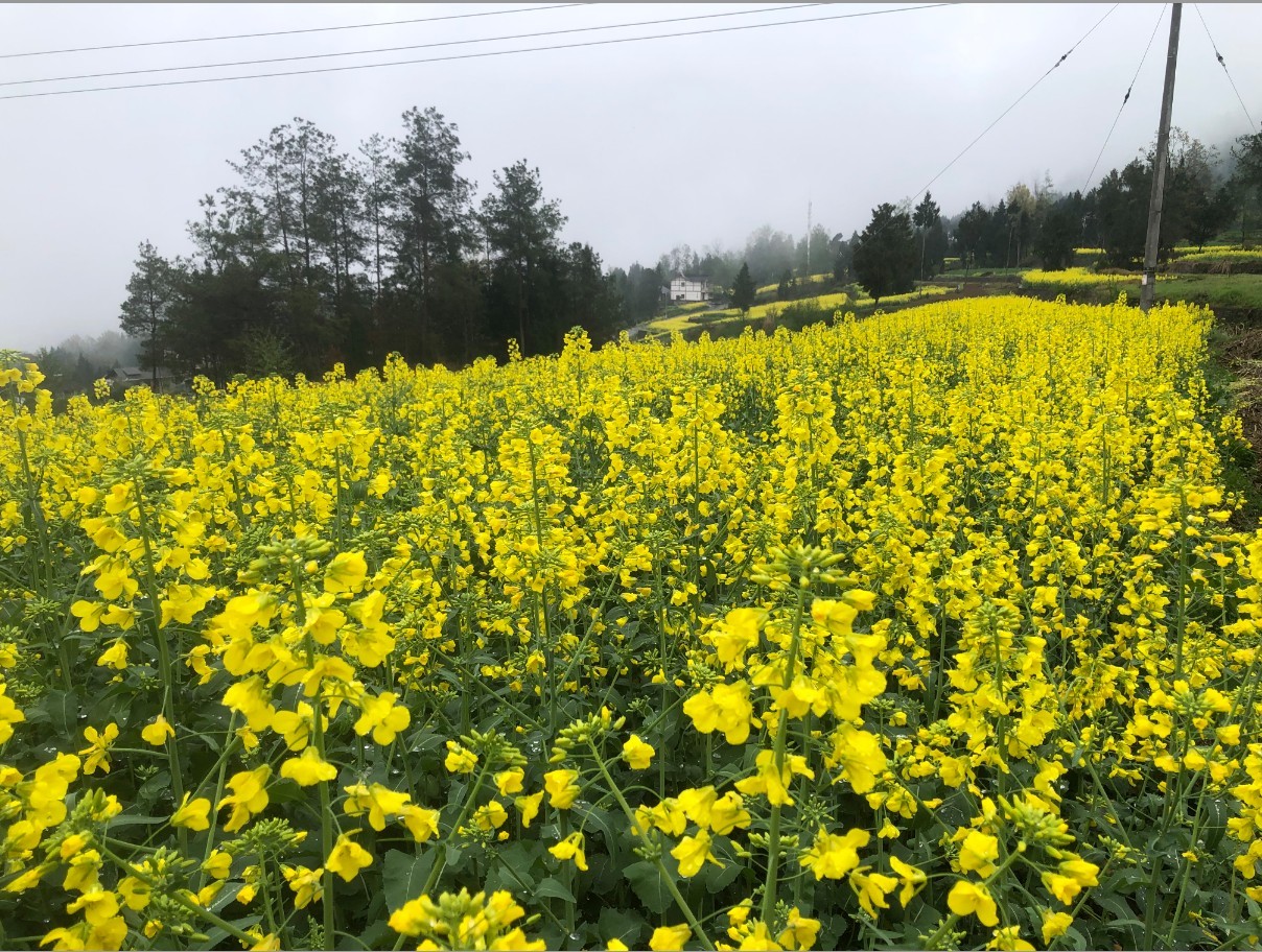 1774600391670019597.jpg 1774600391670019597.jpg