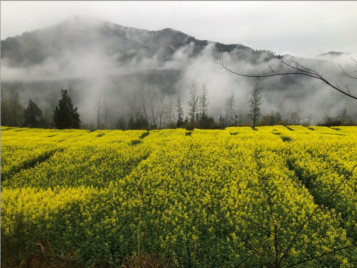 1774600391705070776.jpg 1774600391705070776.jpg