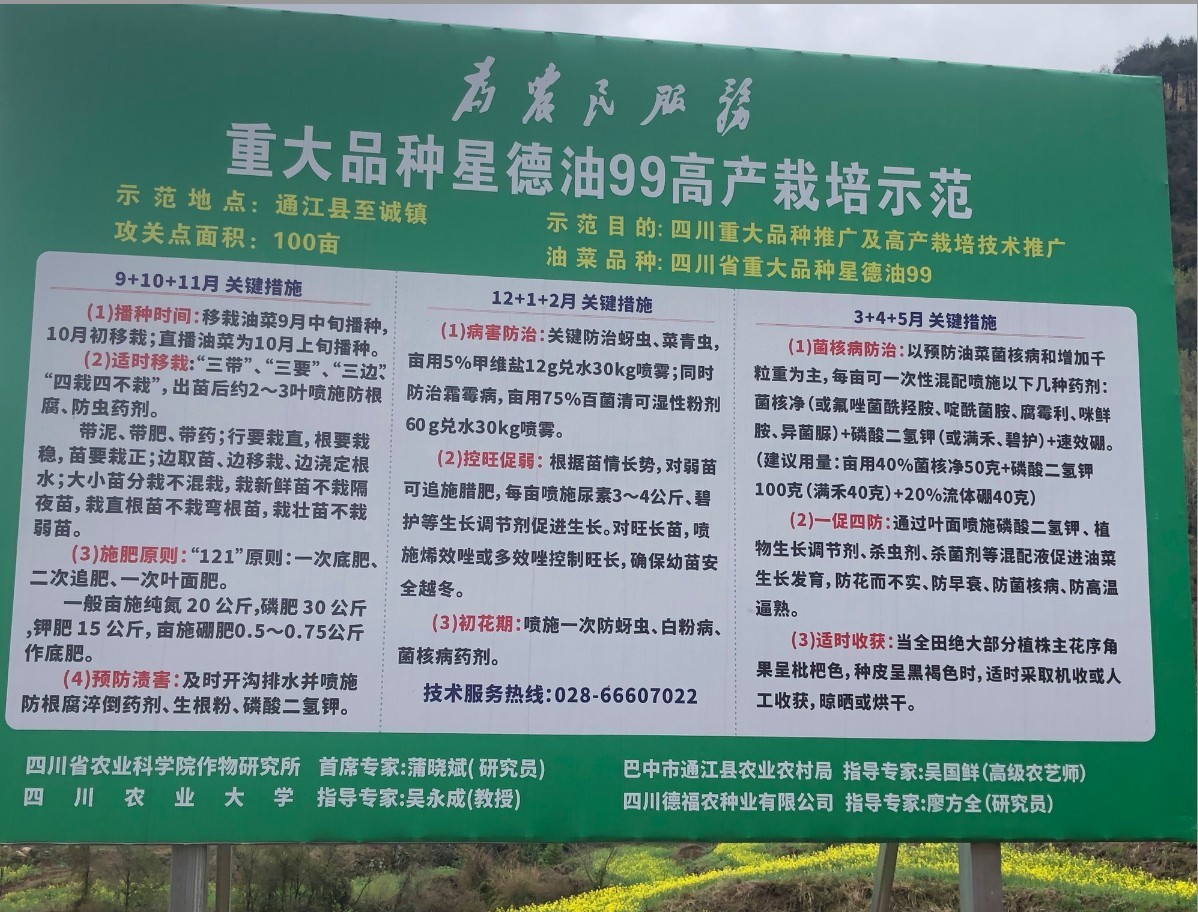 1774600392393042533.jpg 1774600392393042533.jpg