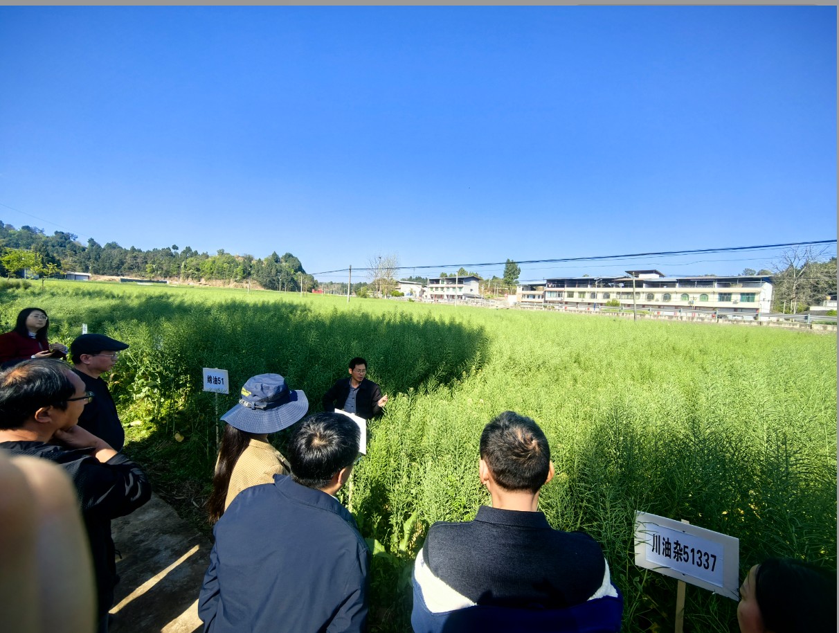 1774606184248049461.jpg 1774606184248049461.jpg