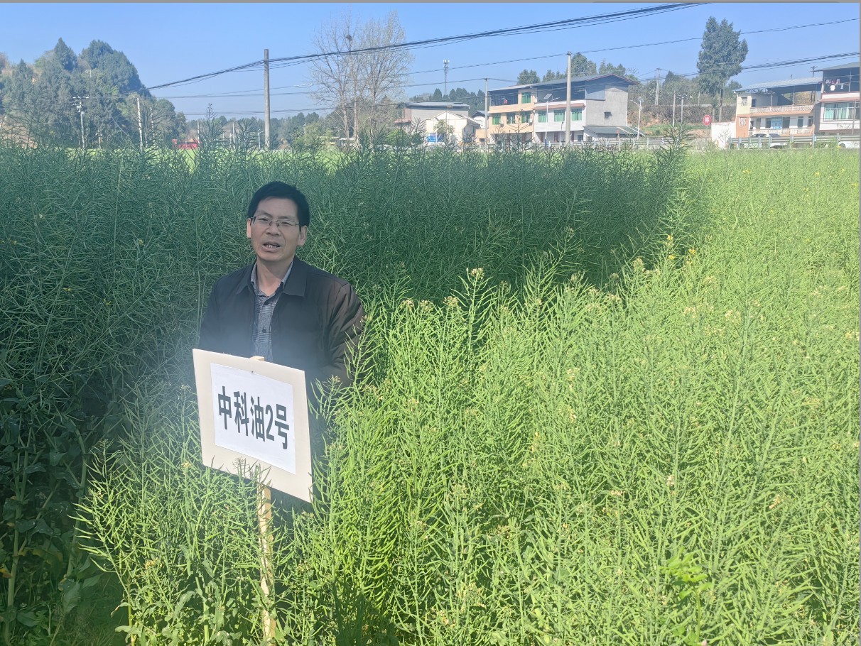 1774606184419020187.jpg 1774606184419020187.jpg