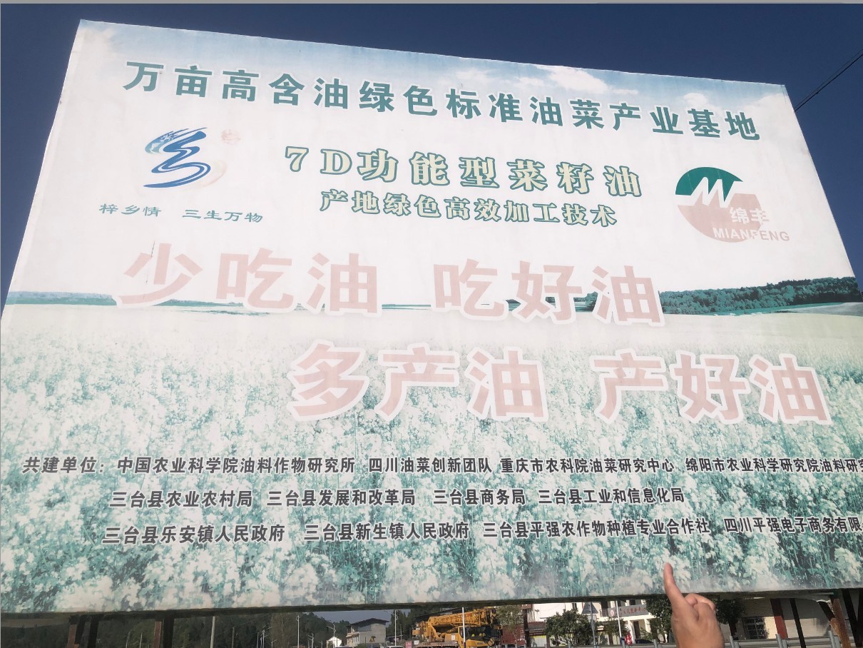 1774606184445070805.jpg 1774606184445070805.jpg