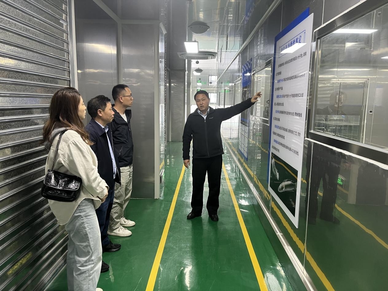 1774624700636033886.jpg 3.271.jpg