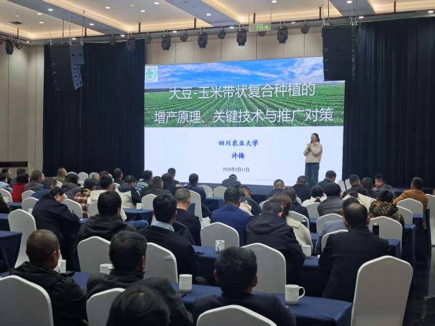 大豆种质资源岗开展大豆-玉米带状复合种植关键技术培训3.11(1).jpg
