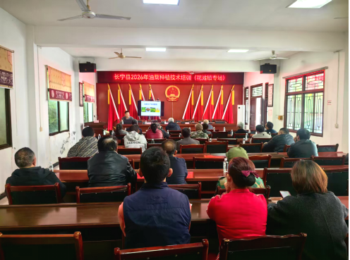 1774863138587092052.png 1774863138587092052.png