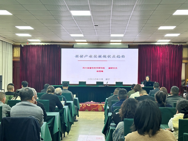 1774924683715014417.jpg 2.jpg