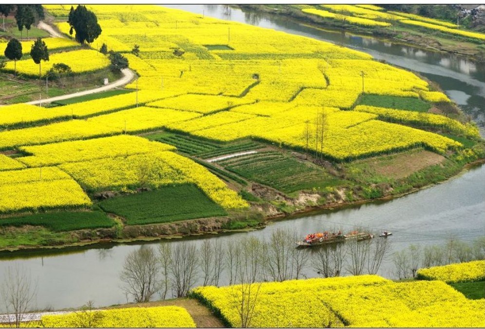 1775121159655042436.jpg 1775121159655042436.jpg