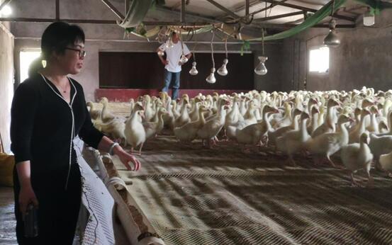 1775615474965016616.jpg 444.jpg