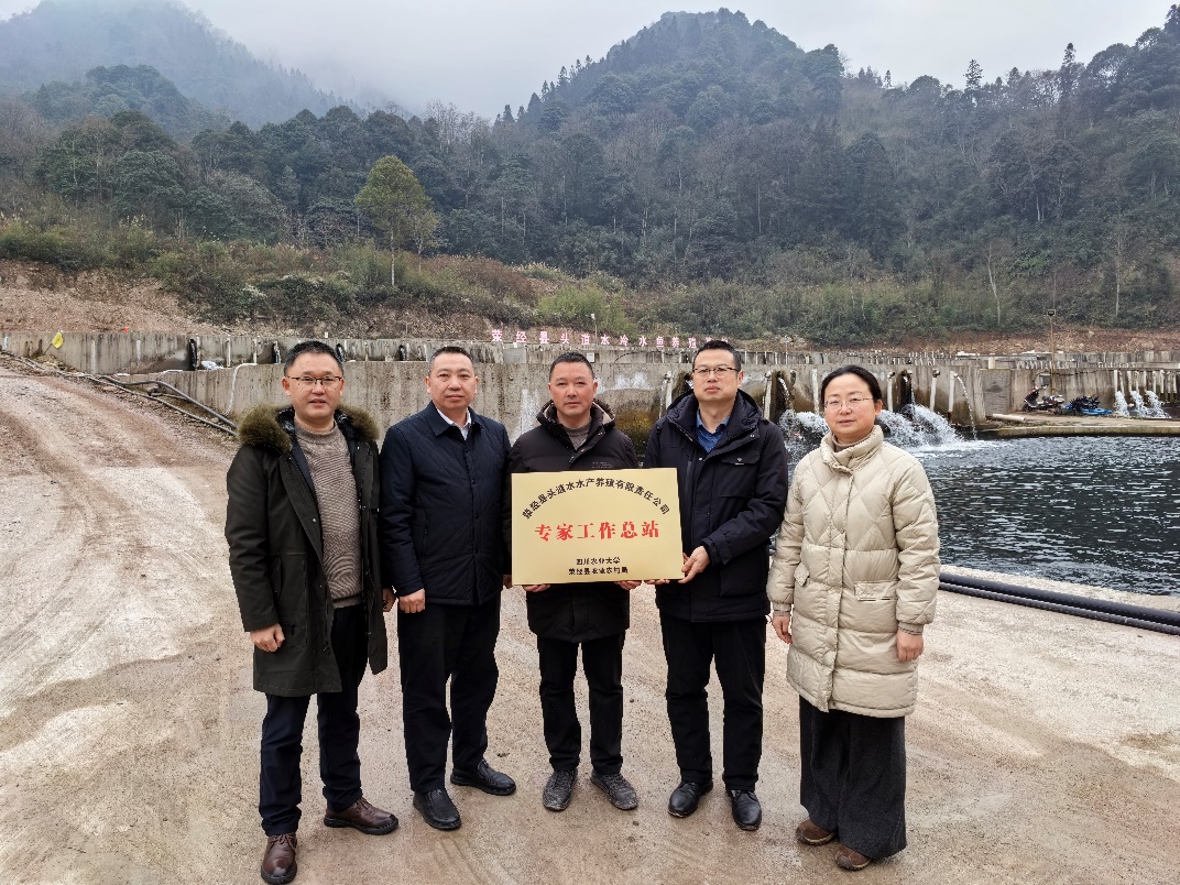 图片5.jpg
