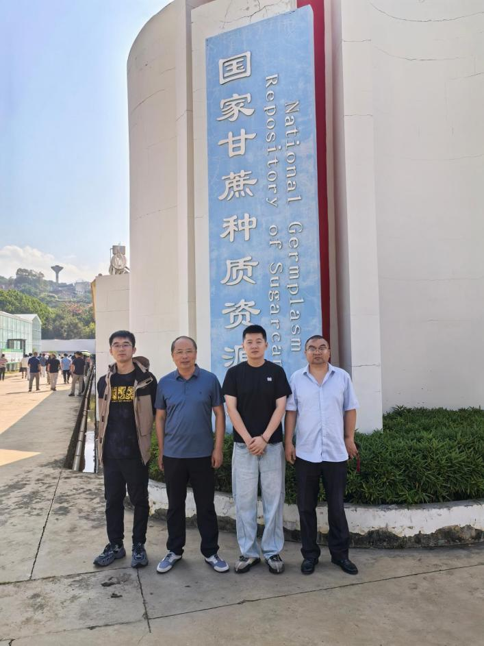 1790646457875029138.png 图片1.png