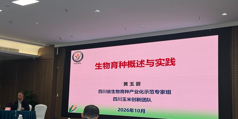 1791529971183056498.jpg 微信图片_20261009151153_90_2.jpg