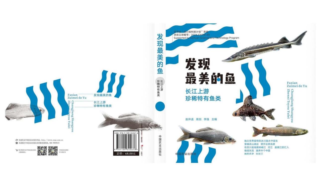 图片6.jpg